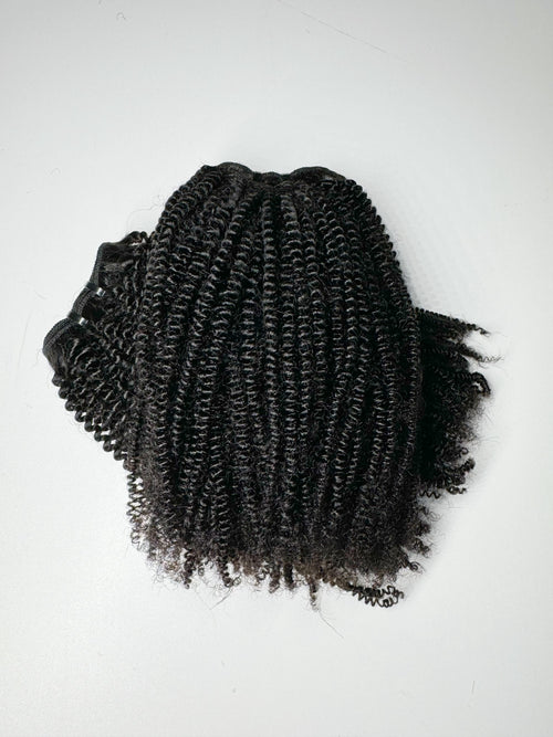 Ashley - 4b/4c Kinky Coily Hair