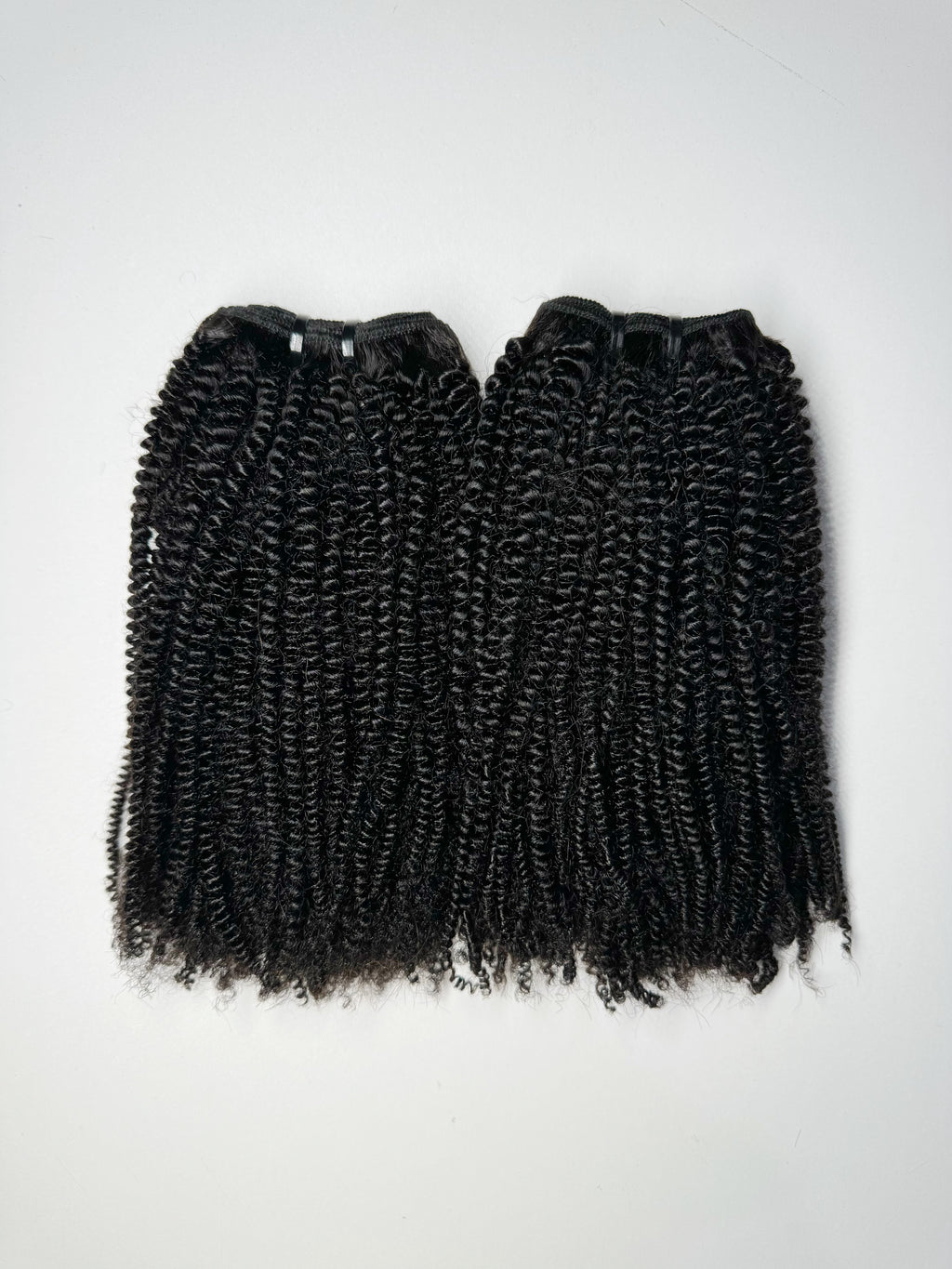 Ashley - 4b/4c Kinky Coily Hair