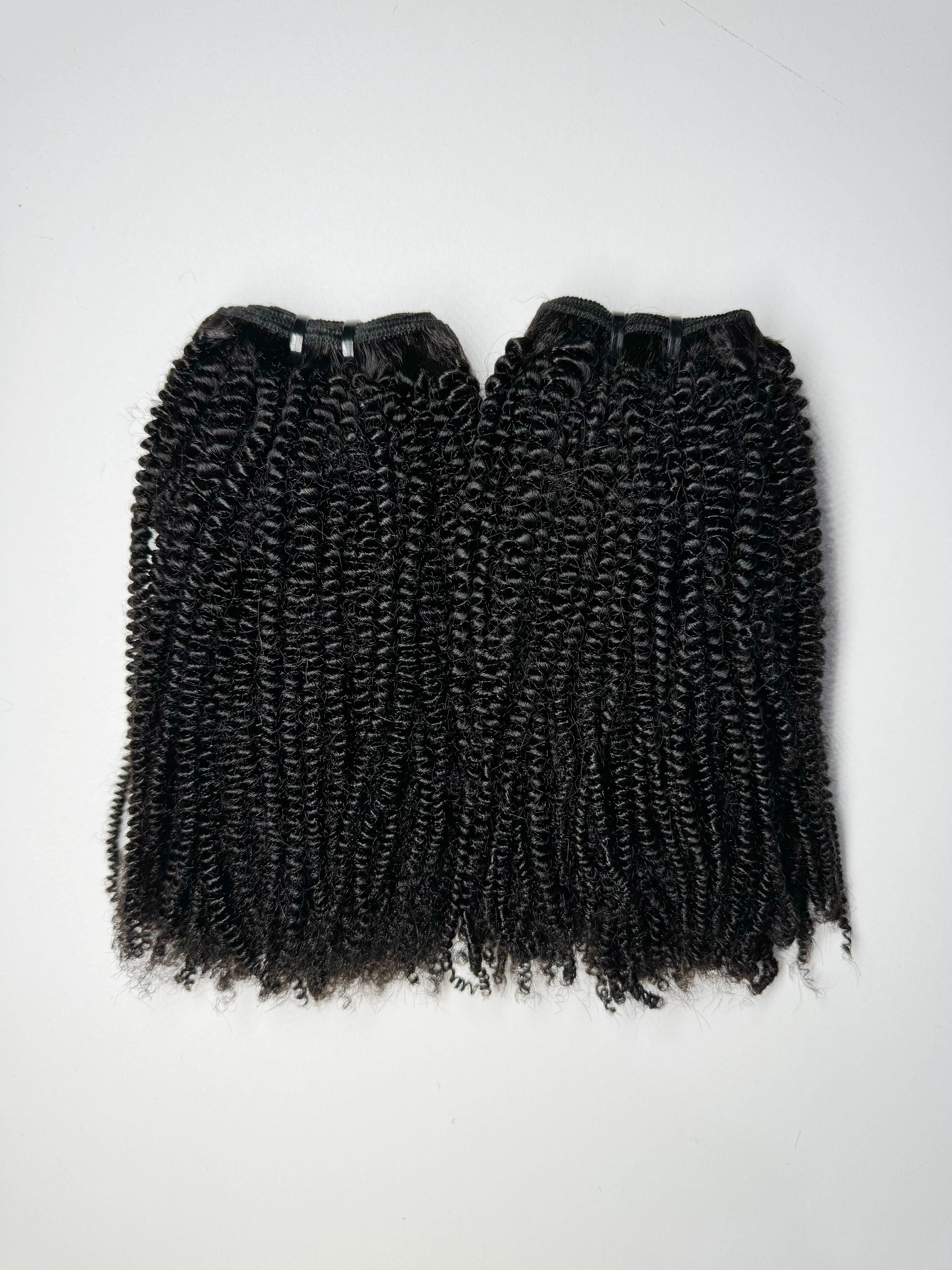 Ashley - 4b/4c Kinky Coily Hair