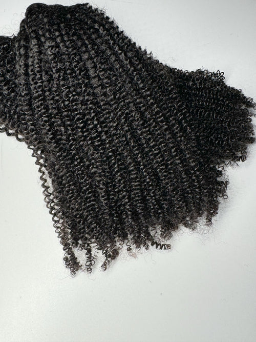 Cynthia - 4b Coily Curly Hair