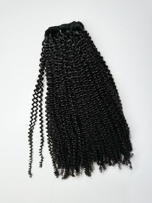 Cynthia - 4b Coily Curly Hair